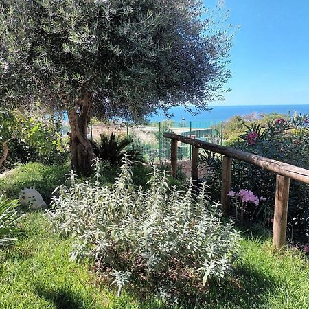 Il Rosmarino Apartment Ischia Exterior photo